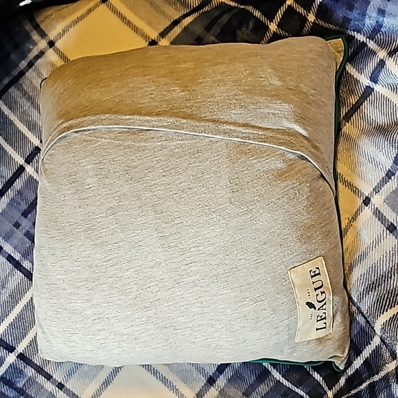 USF decorative pillow - Picture 3 of 6